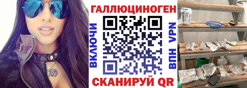 Псилоцибиновые грибы GOLDEN TEACHER  блэк спрут ONION  Суджа 